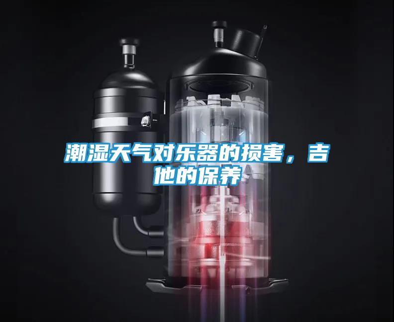 潮湿天气对乐器的损害,吉他的保养