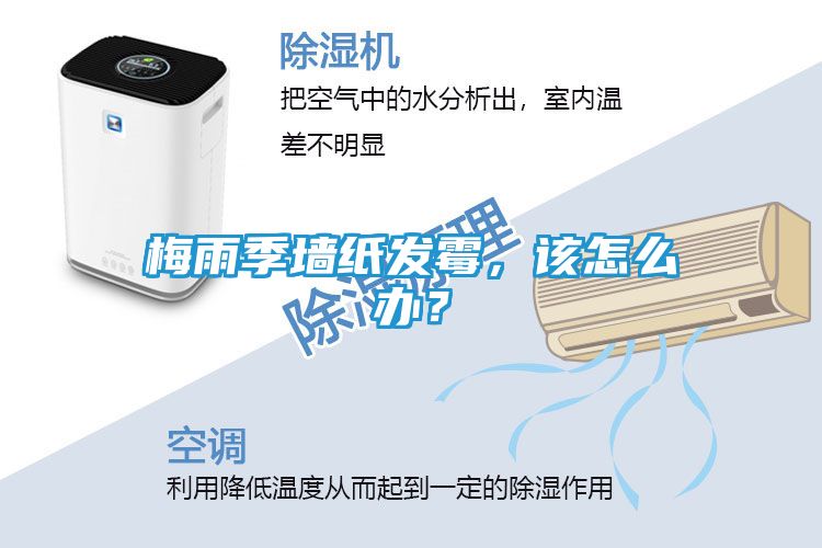 梅雨季墙纸发霉，该怎么办？