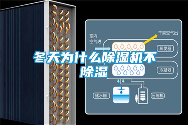 冬天为什么除湿机不除湿