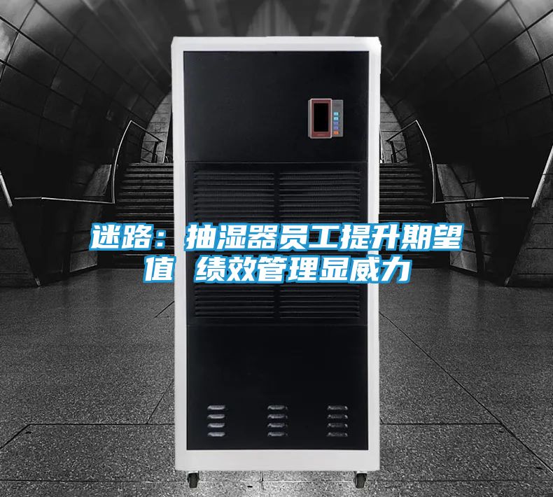 迷路:抽湿器员工提升期望值 绩效管理显威力