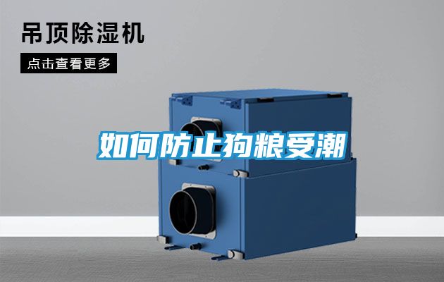 如何防止狗粮受潮