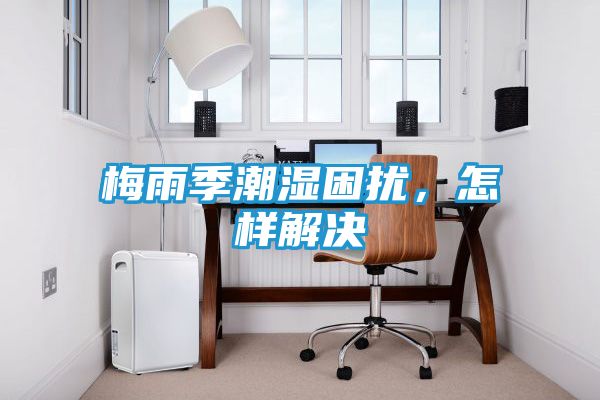 梅雨季潮湿困扰,怎样解决