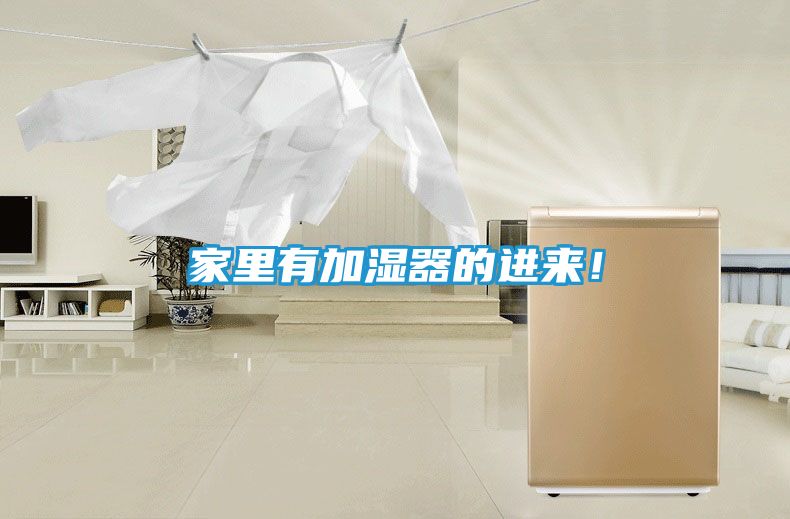 家里有加湿器的进来！