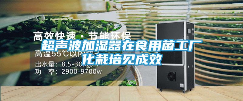 超声波加湿器在食用菌工厂化栽培见成效