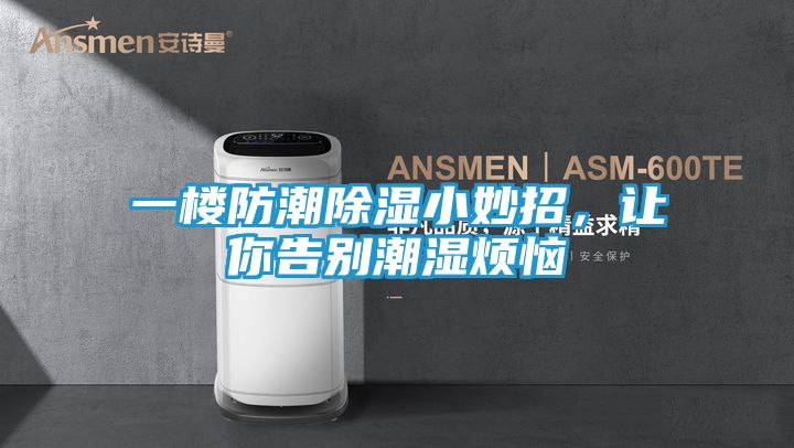 一楼防潮除湿小妙招，让你告别潮湿烦恼