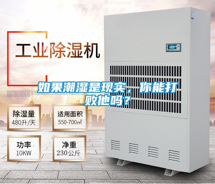 如果潮湿是现实,你能打败他吗?