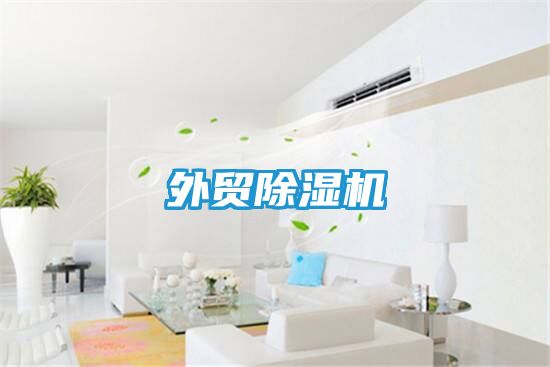 外贸除湿机
