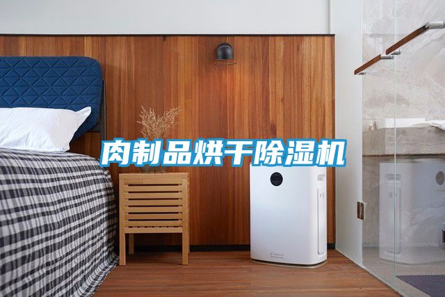 肉制品烘干除湿机
