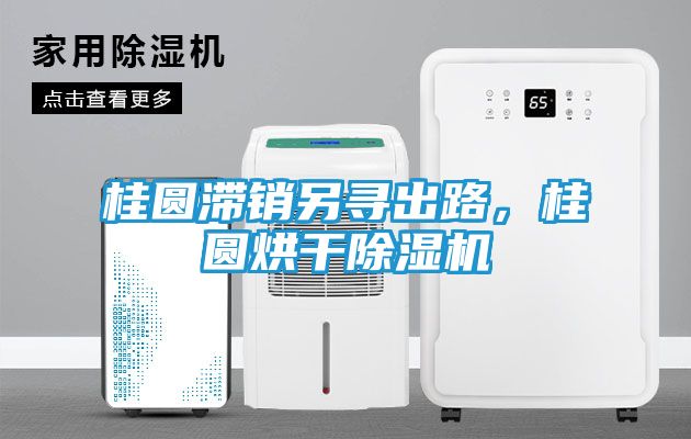 桂圆滞销另寻出路，桂圆烘干除湿机