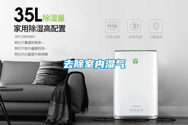 去除室内湿气