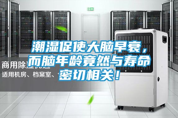 潮湿促使大脑早衰，而脑年龄竟然与寿命密切相关！