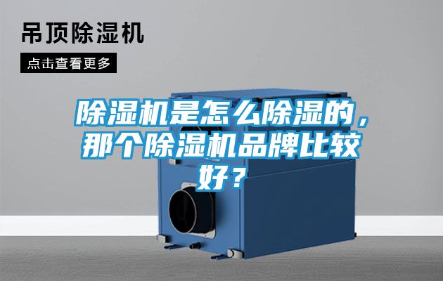 除湿机是怎么除湿的，那个除湿机品牌比较好？