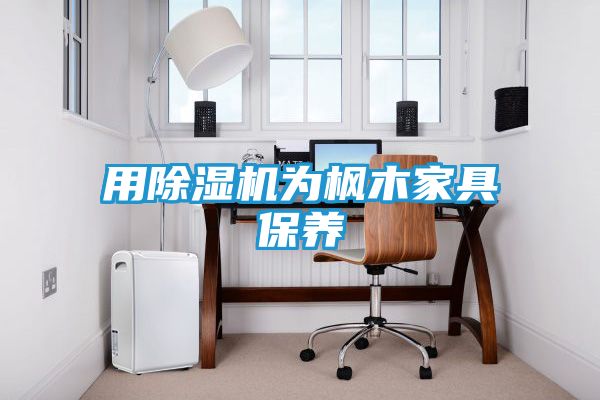 用除湿机为枫木家具保养