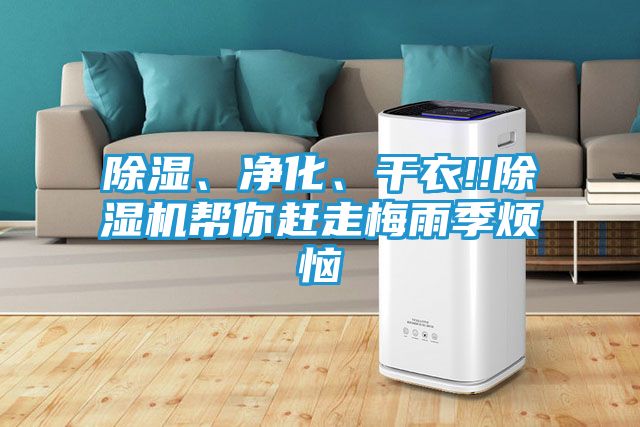 除湿、净化、干衣!!除湿机帮你赶走梅雨季烦恼