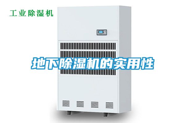 地下除湿机的实用性