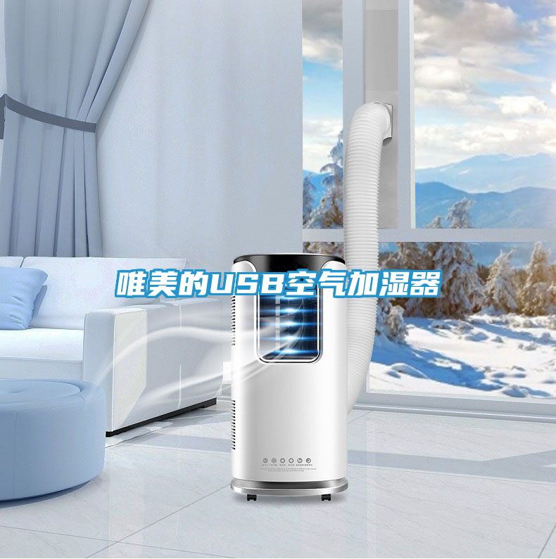 唯美的USB空气加湿器