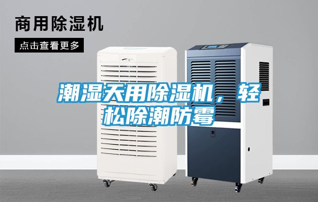 潮湿天用除湿机，轻松除潮防霉