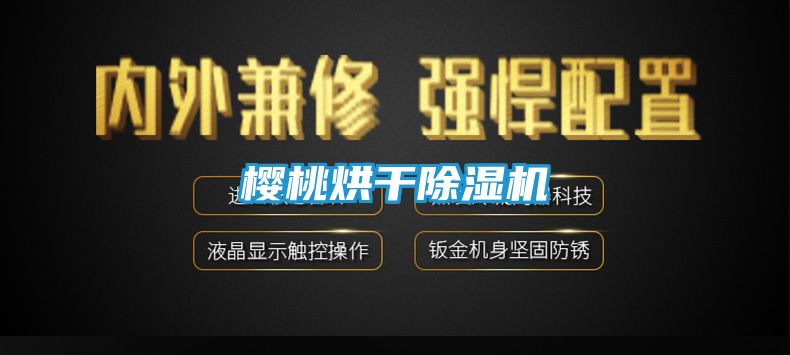 樱桃烘干除湿机