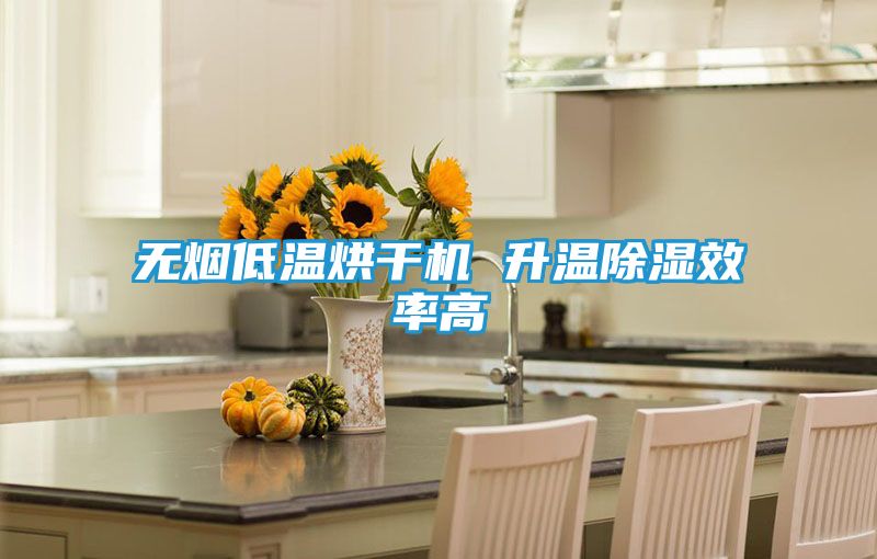 无烟低温烘干机 升温除湿效率高