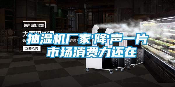 抽湿机厂家'降'声一片 市场消费力还在