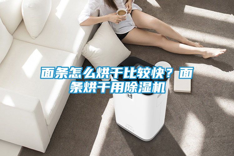 面条怎么烘干比较快？面条烘干用除湿机
