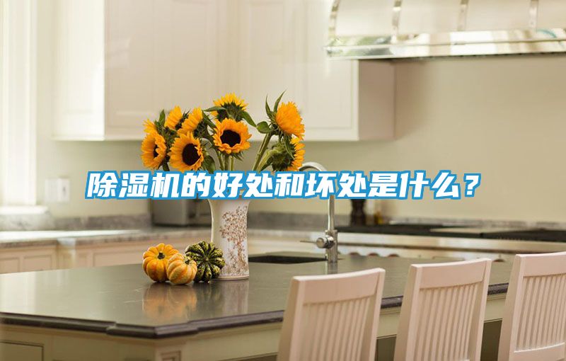 除湿机的好处和坏处是什么？
