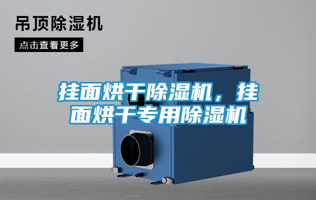 挂面烘干除湿机,挂面烘干专用除湿机