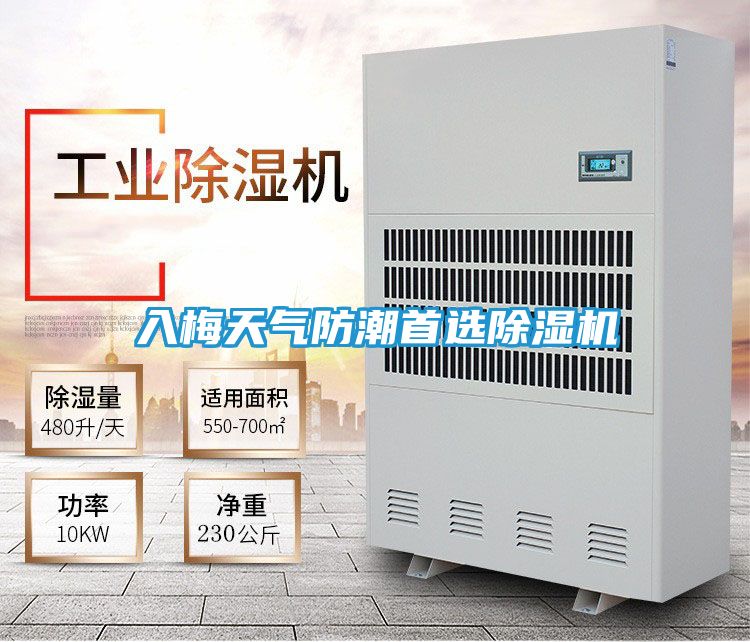 入梅天气防潮首选除湿机