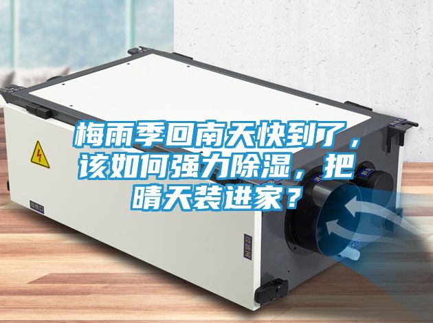 梅雨季回南天快到了，该如何强力除湿，把晴天装进家？