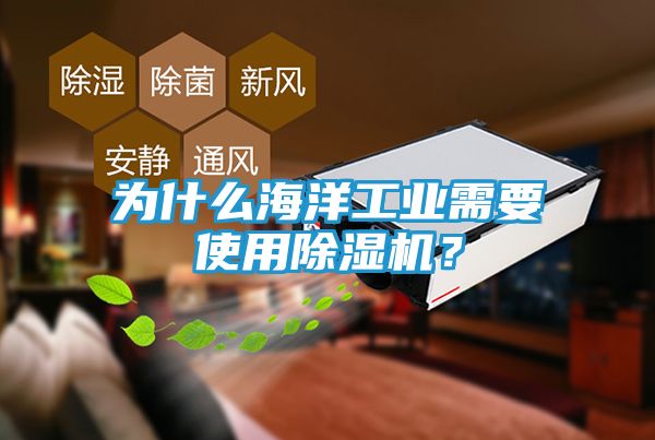 为什么海洋工业需要使用除湿机？