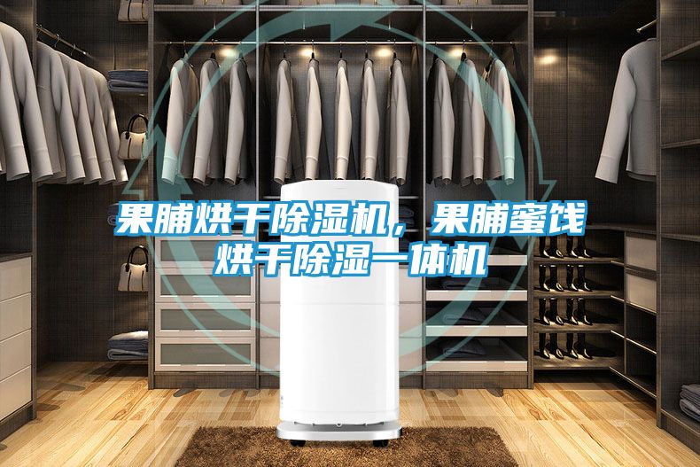 果脯烘干除湿机,果脯蜜饯烘干除湿一体机