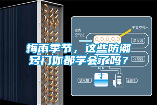 梅雨季节，这些防潮窍门你都学会了吗？