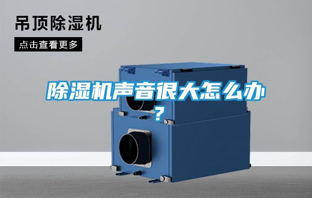 除湿机声音很大怎么办?