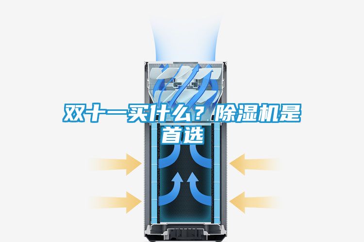 双十一买什么？除湿机是首选