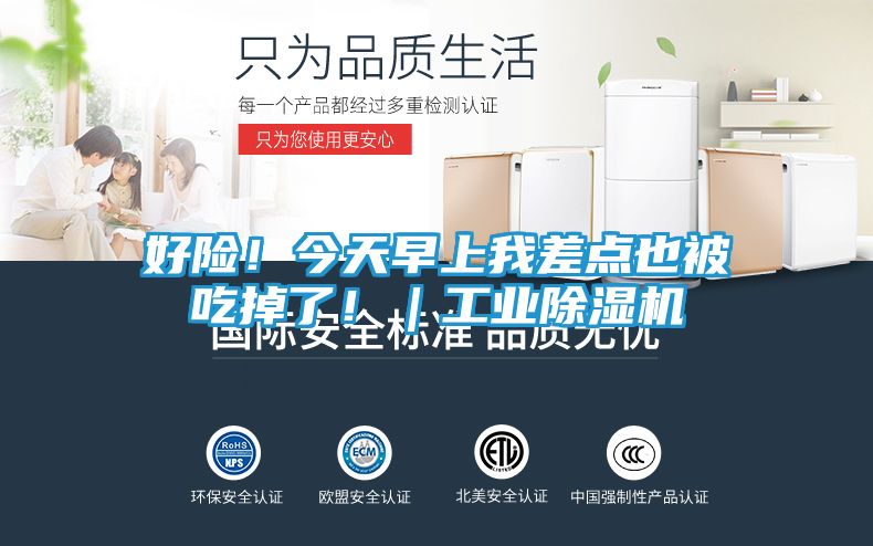 好险!今天早上我差点也被吃掉了!|工业除湿机