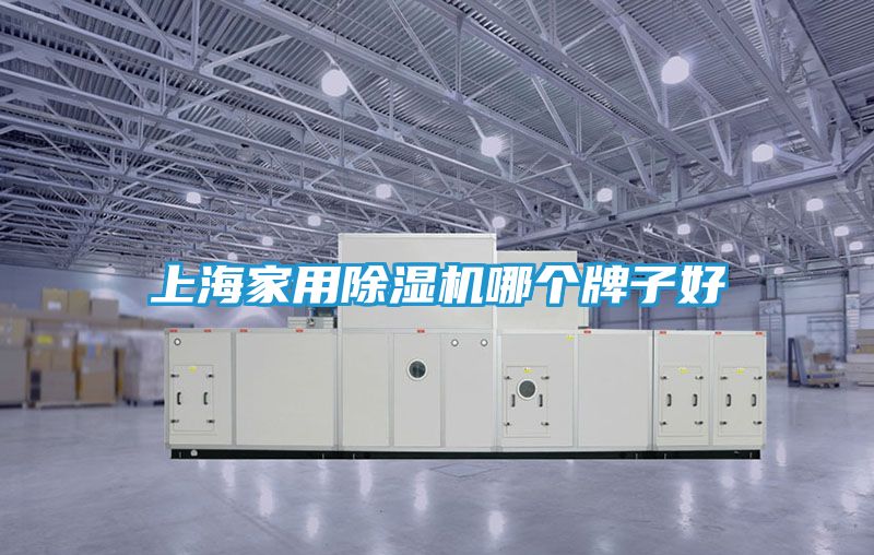 上海家用除湿机哪个牌子好