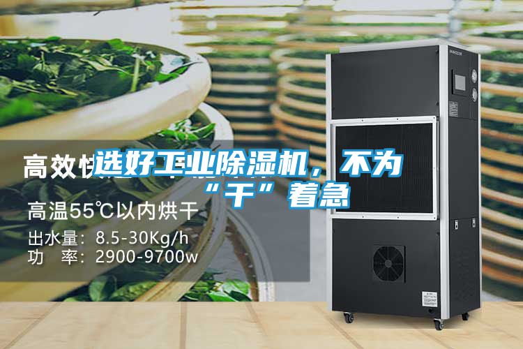 选好工业除湿机，不为“干”着急