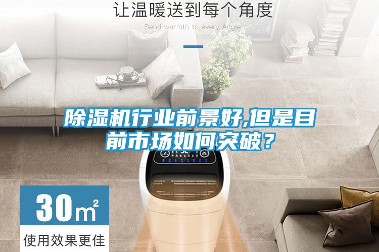 除湿机行业前景好,但是目前市场如何突破?