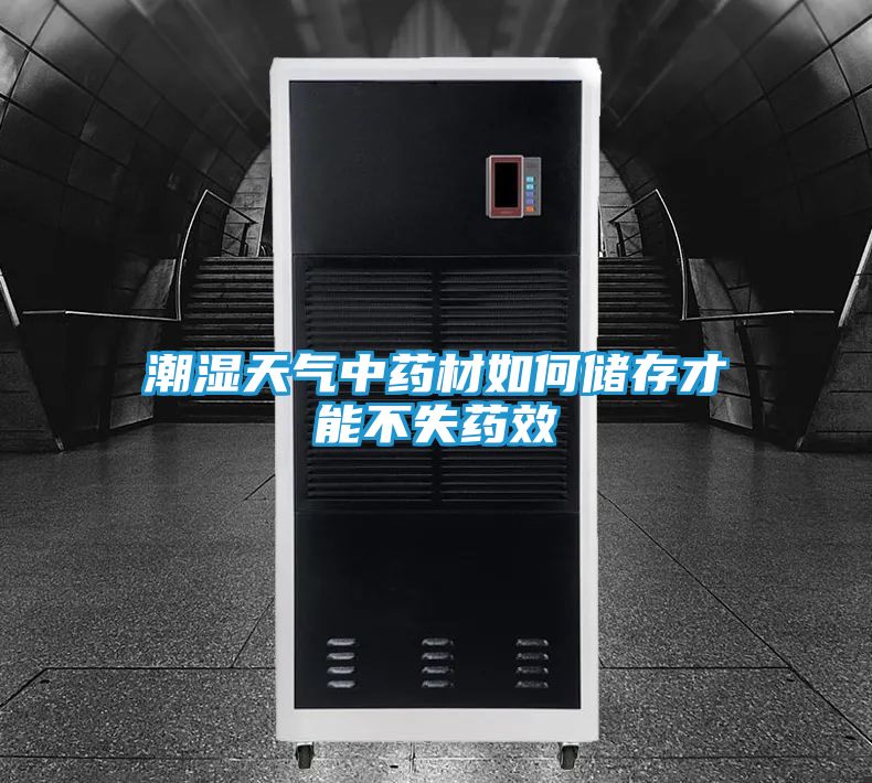 潮湿天气中药材如何储存才能不失药效