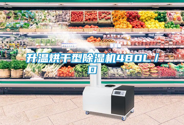 升温烘干型除湿机480L／D