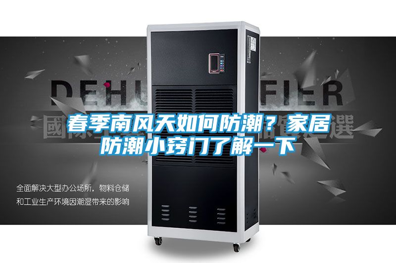 春季南风天如何防潮？家居防潮小窍门了解一下