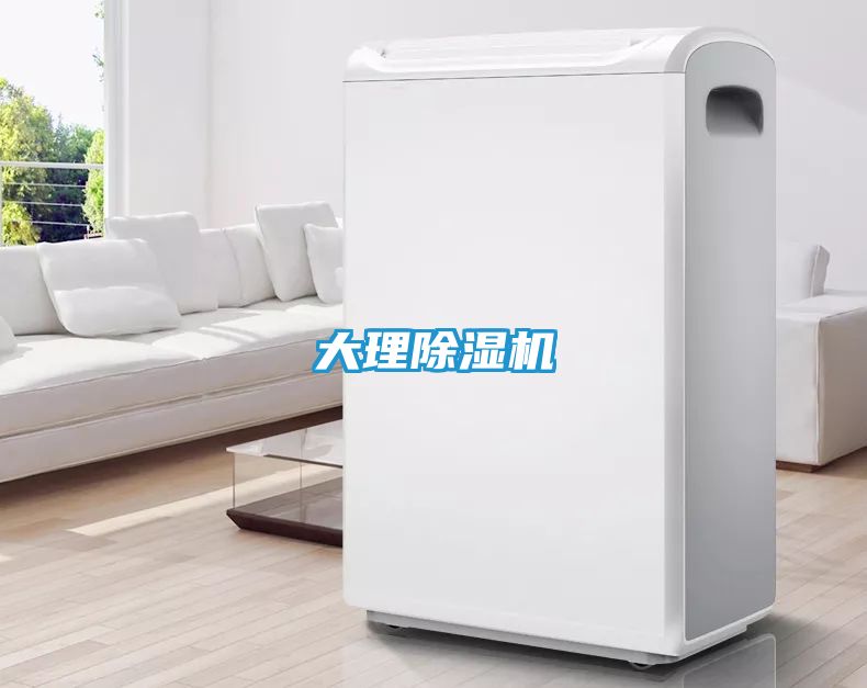 大理除湿机