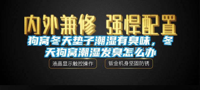 狗窝冬天垫子潮湿有臭味，冬天狗窝潮湿发臭怎么办