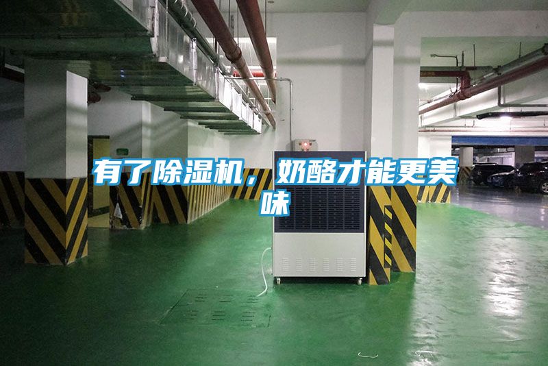 有了除湿机，奶酪才能更美味