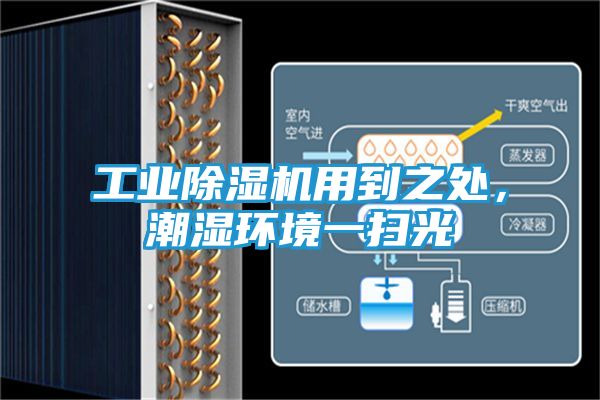 工业除湿机用到之处，潮湿环境一扫光