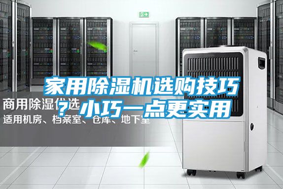 家用除湿机选购技巧？小巧一点更实用