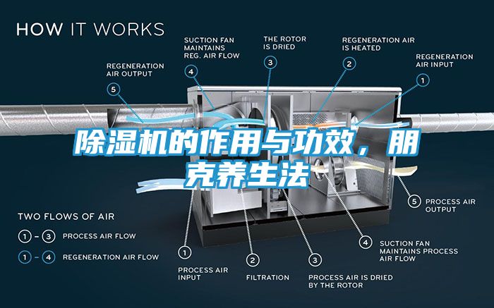 除湿机的作用与功效,朋克养生法