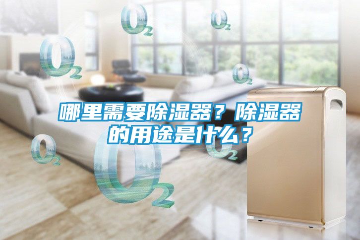 哪里需要除湿器？除湿器的用途是什么？