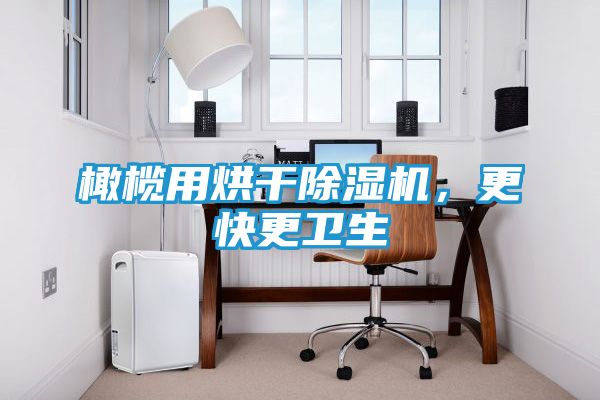 橄榄用烘干除湿机，更快更卫生