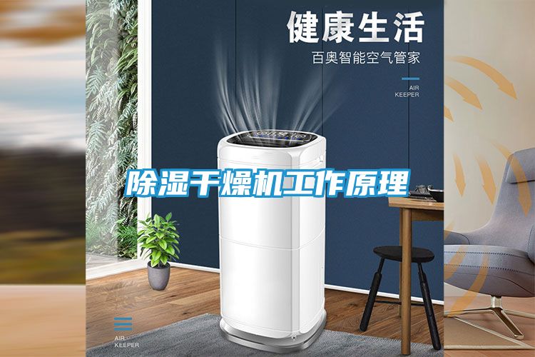 除湿干燥机工作原理